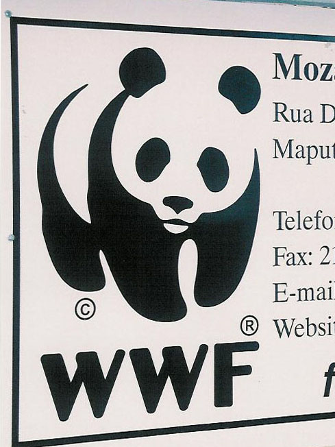 wwf office